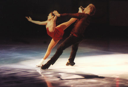 ina85208.jpg (23455 bytes)