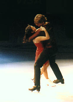 ina85217.jpg (12338 bytes)