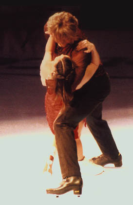 ina85219.jpg (17361 bytes)